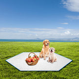 Maxbell Picnic Mat Aluminum Foil Damp Proof Waterproof Sleeping Mattress for Lawn 220cm