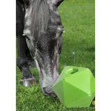 Maxbell Funny Horse Treat Ball Feeding Toys Farmhouse Cow Feeder Hay Stable Stall