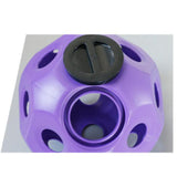 Maxbell Fun 15.7" Horse Treat Ball Horse Toys Feed Ball Feeding Toy Multipurpose Purple