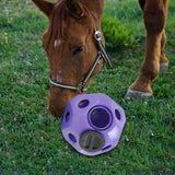 Maxbell Fun 15.7" Horse Treat Ball Horse Toys Feed Ball Feeding Toy Multipurpose Purple