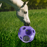 Maxbell Fun 15.7" Horse Treat Ball Horse Toys Feed Ball Feeding Toy Multipurpose Purple