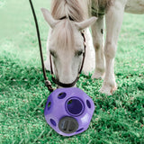 Maxbell Fun 15.7" Horse Treat Ball Horse Toys Feed Ball Feeding Toy Multipurpose Purple