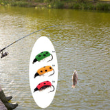 Maxbell Lifelike Ladybug Fly Lure Durable Hooks Sturdy for Streams Fishing Outdoor 12 Piece