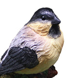 Maxbell Miniature Bird Figurines Resin Accessories for Desk Home Micro Landscape