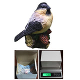 Maxbell Miniature Bird Figurines Resin Accessories for Desk Home Micro Landscape