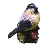 Maxbell Miniature Bird Figurines Resin Accessories for Desk Home Micro Landscape
