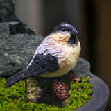 Maxbell Miniature Bird Figurines Resin Accessories for Desk Home Micro Landscape