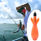 Maxbell Carp Fishing Feeder Carp Fishing Tackle Baits Cage for Fishing Fishing Feeder