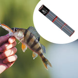 Maxbell Foldable Fish Net Bag Fishing Bucket Storage Cage for Kayak Fishing Crawfish Black