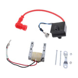 Max CDI Ignition Coil Magneto Set for 49-80cc 2-Stroke Scooters Dirt Bike