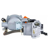 Maxbell Generator Dual Fuel Carburetor Kit Practical for Honda Gx160 168F
