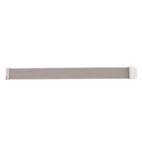 Max Replacement Stainless Steel Watch Band Magnetic for Amazfit Champagne