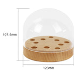 Maxbell Turntable Headshell Storage Box Decor Collector Display Box for Office Home