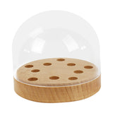 Maxbell Turntable Headshell Storage Box Decor Collector Display Box for Office Home