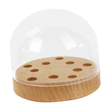 Maxbell Turntable Headshell Storage Box Decor Collector Display Box for Office Home