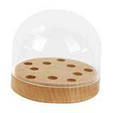 Maxbell Turntable Headshell Storage Box Decor Collector Display Box for Office Home