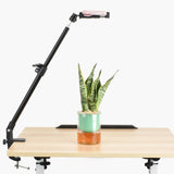 Maxbell Phone Arm Stand Desktop Holder Portable for Watching Video Taking Photo