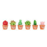 6Pcs Artificial Succulent Plants Mini Potted Succulents Picks for Home Table - Aladdin Shoppers