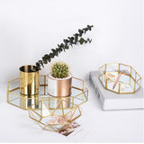 Max Glass Makeup Organizer Jewelry Tray Table Succulent Plants Polygons L