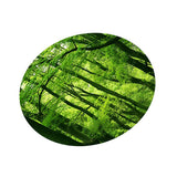 Max Digital Printing Tablecloth Table Cover 140x140cm 3.Green jungle