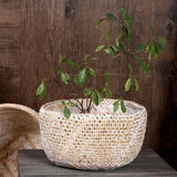 Maxbell Bamboo Weaving Flower Basket Round Storage Baskets for Living Room White-M