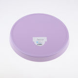 Max Vibrant Color Fruit Cake Plate Snacks Decorative Serving Tray  Purple