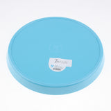 Max Vibrant Color Fruit Cake Plate Snacks Decorative Serving Tray  Blue