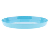 Max Vibrant Color Fruit Cake Plate Snacks Decorative Serving Tray  Blue