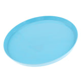 Max Vibrant Color Fruit Cake Plate Snacks Serving Tray  Blue