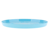 Max Vibrant Color Fruit Cake Plate Snacks Serving Tray  Blue