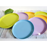 Max Vibrant Color Fruit Cake Plate Snacks Serving Tray  Blue