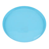 Max Vibrant Color Fruit Cake Plate Snacks Serving Tray  Blue