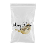 Max Cute Birds Shaped Animals Figurines Sculpture for Home Decor Gifts Golden