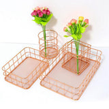 Maxbell Wire Storage Basket Bin Organizer Holder for Kithen Bathroom Rose Gold Round - Aladdin Shoppers