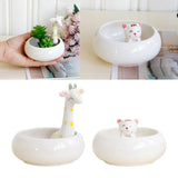 Maxbell Creative Cute Ceramic Flower Pot Succulent Plant Container White Cat - Aladdin Shoppers