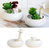 Maxbell Creative Cute Ceramic Flower Pot Succulent Plant Container White Cat - Aladdin Shoppers