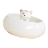 Maxbell Creative Cute Ceramic Flower Pot Succulent Plant Container White Cat - Aladdin Shoppers