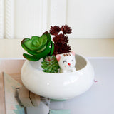 Maxbell Creative Cute Ceramic Flower Pot Succulent Plant Container White Cat - Aladdin Shoppers