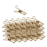 Max gold plating Stainless Steel Wire Clips Wind-proof Clamps 40pcs/pack