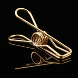 Max gold plating Stainless Steel Wire Clips Wind-proof Clamps 40pcs/pack