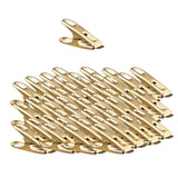 Max Flat clip
