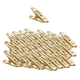 Max Flat clip