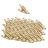 Max Flat clip