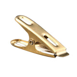 Max Flat clip