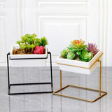 Maxbell Desktop Rotating Ceramic Planter Succulent Pot with Metal Stand Holder Gold