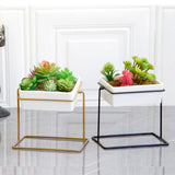 Maxbell Desktop Rotating Ceramic Planter Succulent Pot with Metal Stand Holder Gold