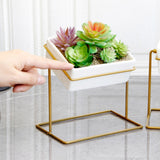 Maxbell Desktop Rotating Ceramic Planter Succulent Pot with Metal Stand Holder Gold