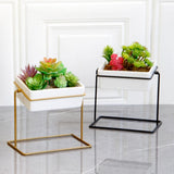Maxbell Desktop Rotating Ceramic Planter Succulent Pot with Metal Stand Holder Gold
