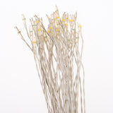 Maxbell LED Firework Hanging Lights Decorative DIY 50 Branch 150Led Warm white