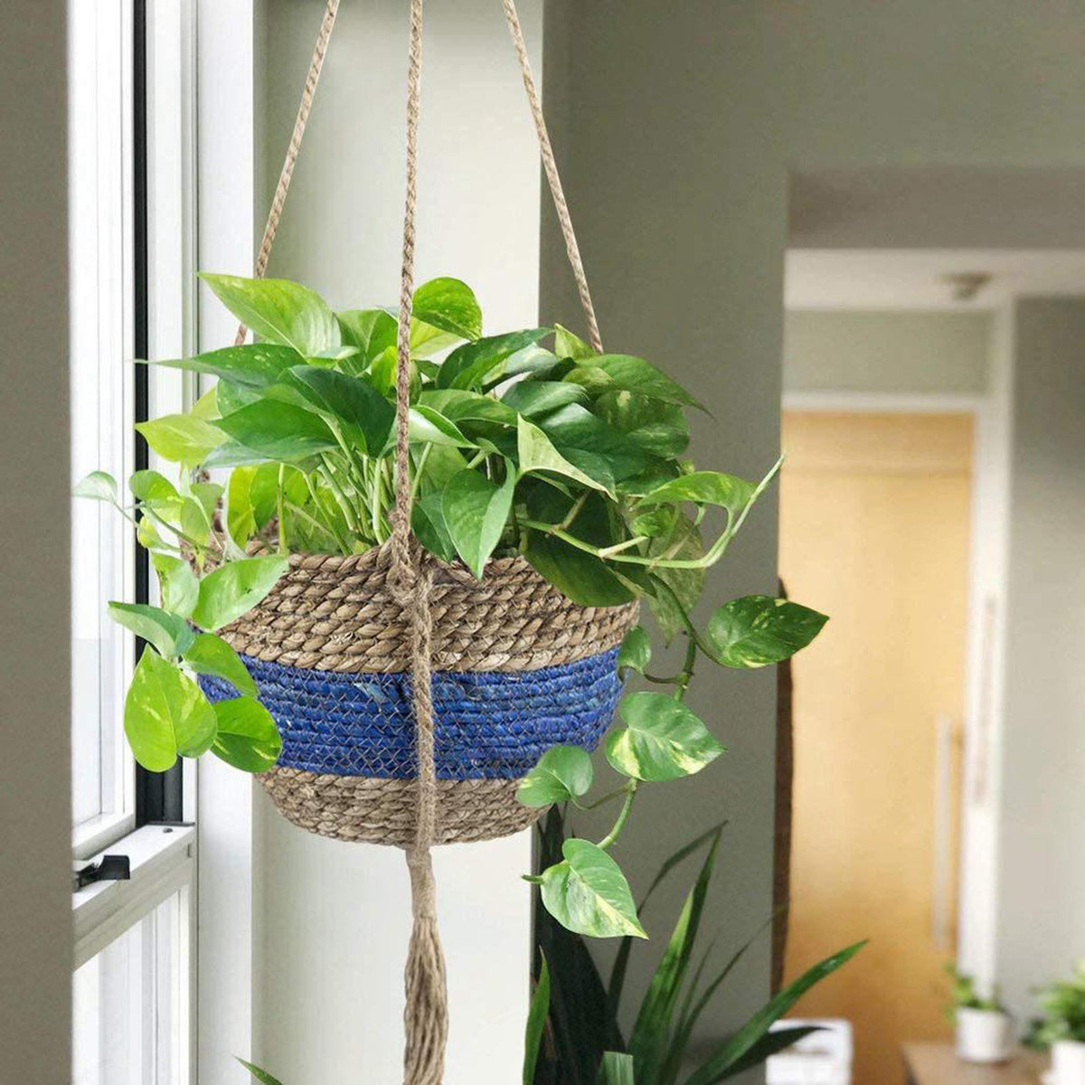 Plant Hangers Storage Organizer Living Room Wall Art Decoration blue 1 layer